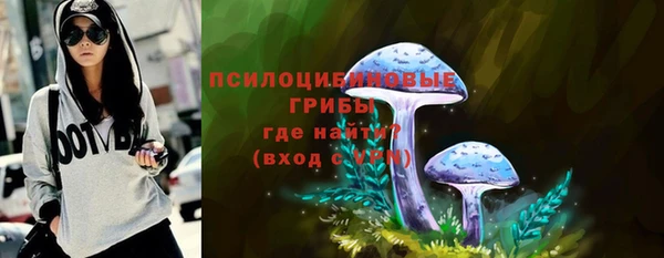 Альфа ПВП Аркадак