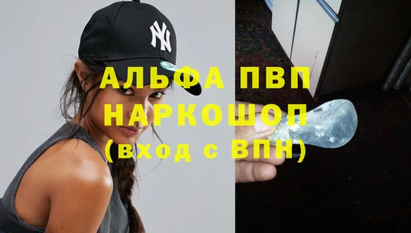прущие грибы Арсеньев