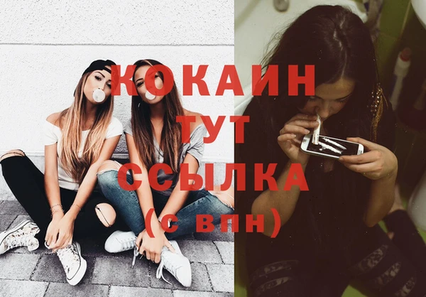 Альфа ПВП Аркадак